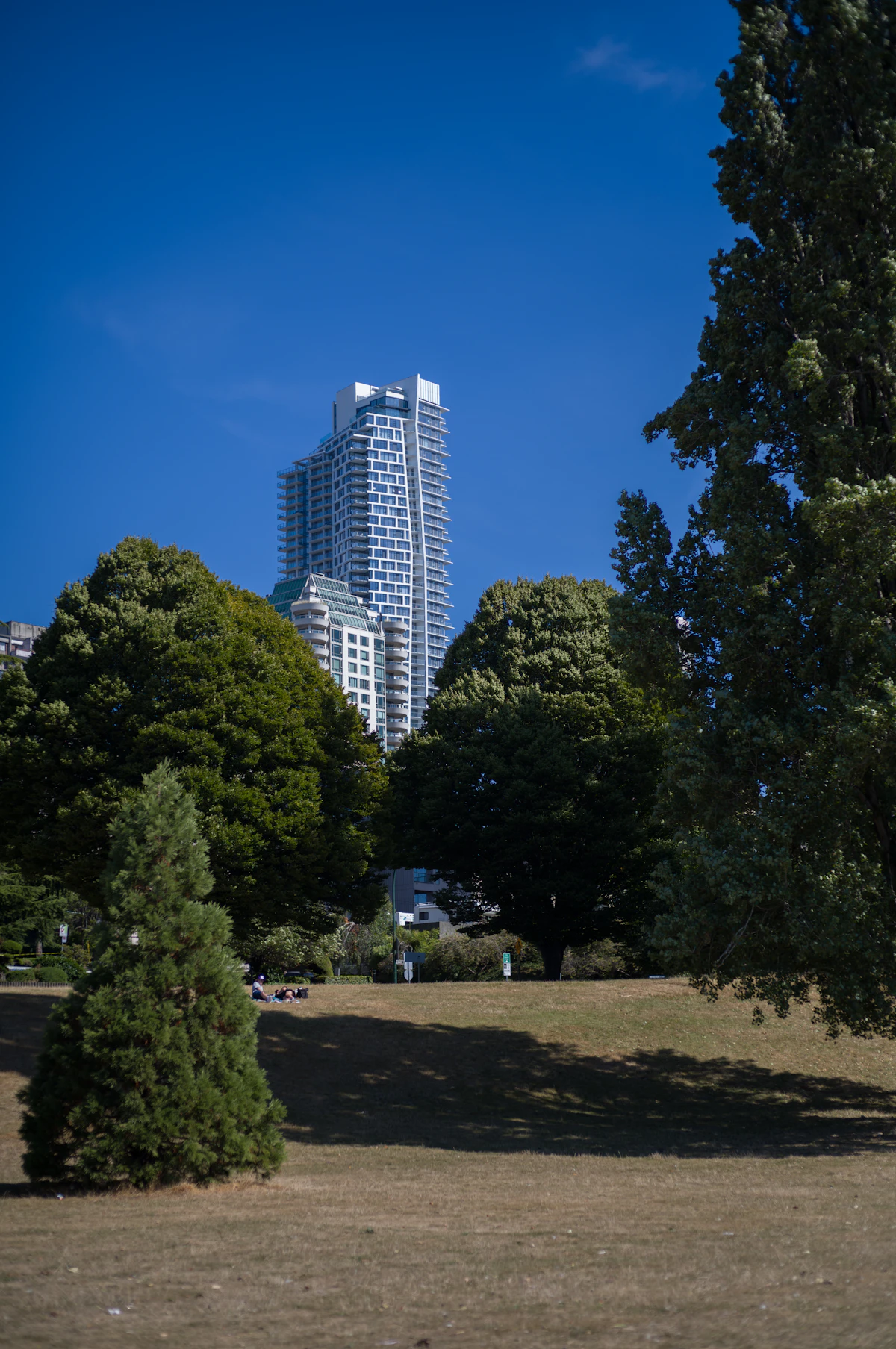 Vancouver residential towers beyond trees and green space at Sunset Beach